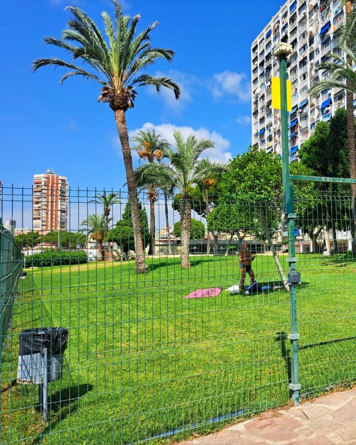 Comfortable Studio With Sea View Apartman Benidorm Kültér fotó